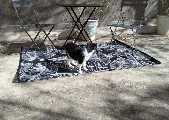 Coeur Bastide Saint Louis לינה וארוחת בוקר *